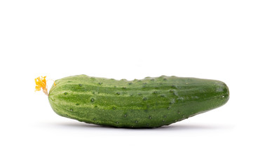Cucumber isolated on white background
