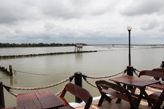 Restaurant near mangrove foreat
