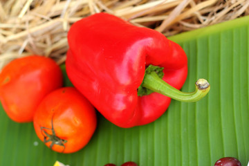 Red bell pepper fresh colorful and tomatoes