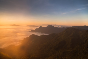 mountains under mist in the morning in Phuchifa chiang rai,Thail