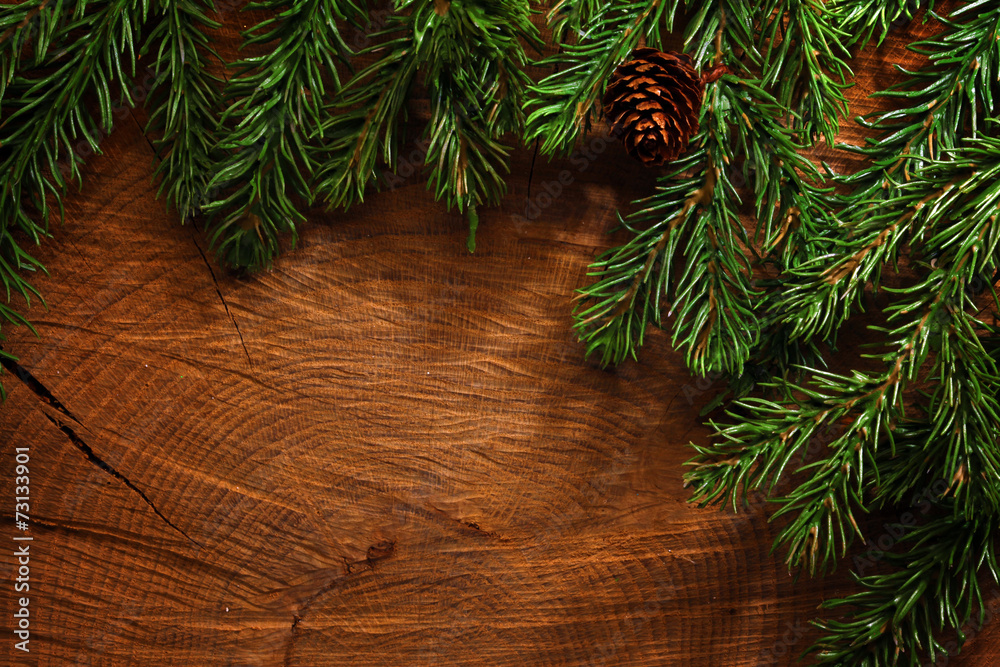 Canvas Prints evergreen tree background