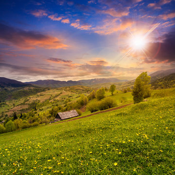 village on hillside meadow with forest in mountain at sunset