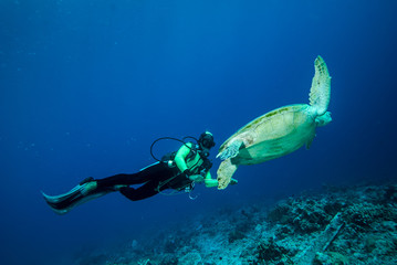 Diver and green sea turtle in Derawan, Kalimantan underwater