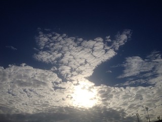 Obraz premium Sky on green