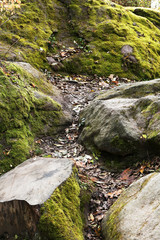 Small creek