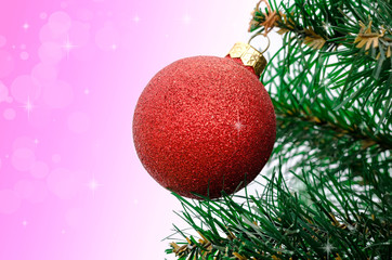 Fototapeta na wymiar Christmas decoration hanging on tree