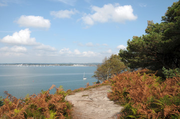 Coastal path on Brownsea Island