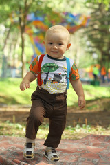 little boy in summer park