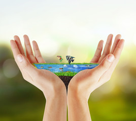 Human hand holding sea