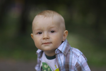 little boy in summer park