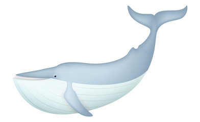 Fototapeta premium Cute Blue Whale isolated on white