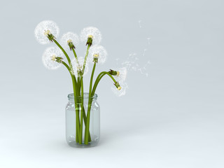 dandelions in bottle