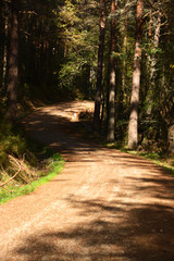 via verde en burgos, ferrocarril minero
