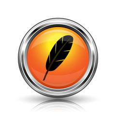 Feather icon