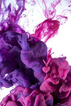 ink color drop, violet and pink
