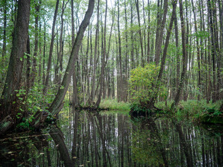 Obraz premium Kanal in Mecklenburg vom Paddelboot aus