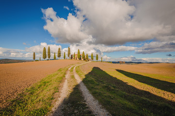 Classic house with cypress trees in Tuscany