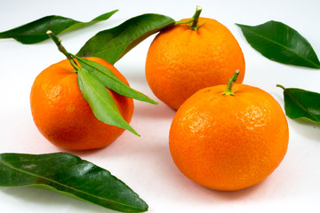 three sweet tangerines