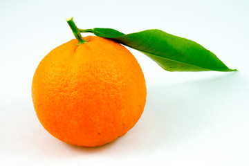 an oranges tangerine