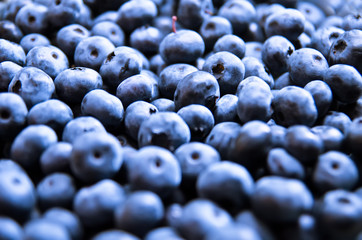 blueberry