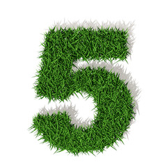 5 cinque numero 3d erba verde, isolato su sfondo bianco