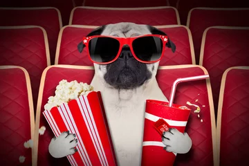 Cercles muraux Chien fou dog at the movies
