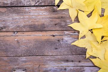Naklejka na ściany i meble Yellow autumn leaves over aged wooden background