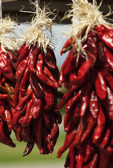 Fototapeta premium Chili-Pfefferschoten an einem Marktstand, USA