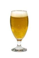 Glass of beer on a white background.