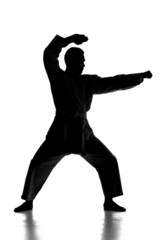 Martial arts