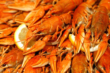 Fresh boiled crawfish