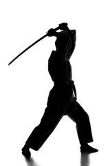 Martial arts