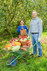Obraz premium Man and woman with crop of vegetables