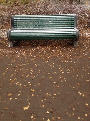 empty bench in autumn park