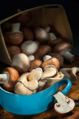 Fresh mushrooms on a wooden board