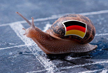 finish line winning of a snail with the colors of Germany flag