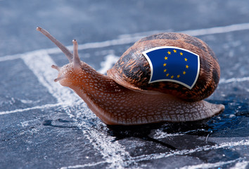 finish line winning of a snail with the colors of Europe flag - obrazy, fototapety, plakaty