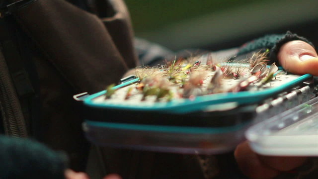 hand touches front fly in a fly box