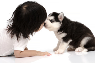 Little asian baby kissing Siberian husky puppy