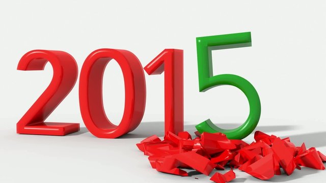 2015 New Year