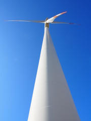 Pala eolica portrait