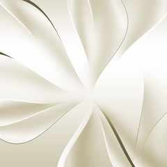 lily flower texture background