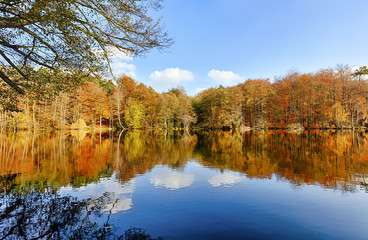 panorama of autumn trees at a glassy lake