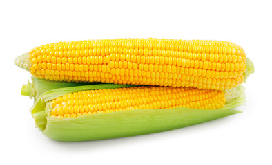 Fresh raw corn on white background. isolated