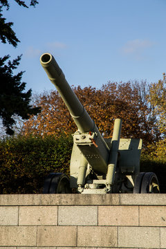 Cannone