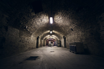 Obraz premium beverage storage cellar