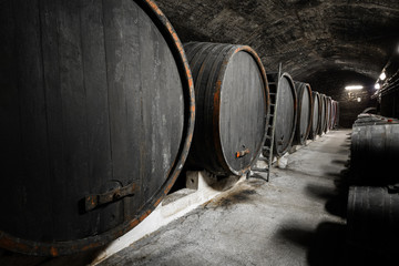 beverage storage cellar, barrels