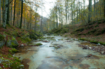 Obraz premium Torrente