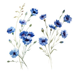 Obraz premium Blue flowers 8