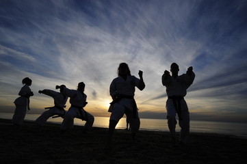 Silhouettes of karate fighters